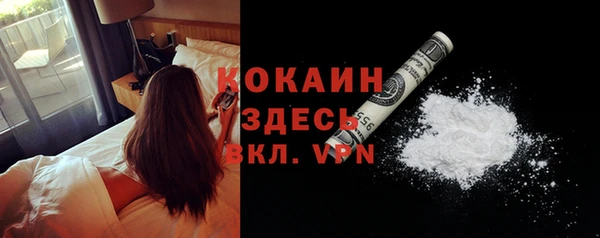 твердый Майский