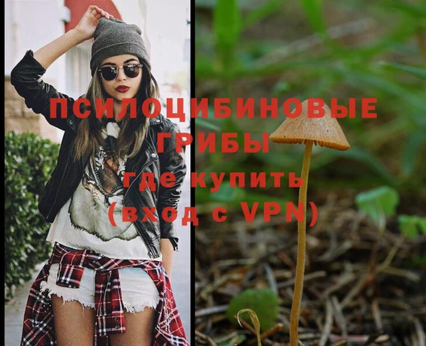 герыч Алзамай