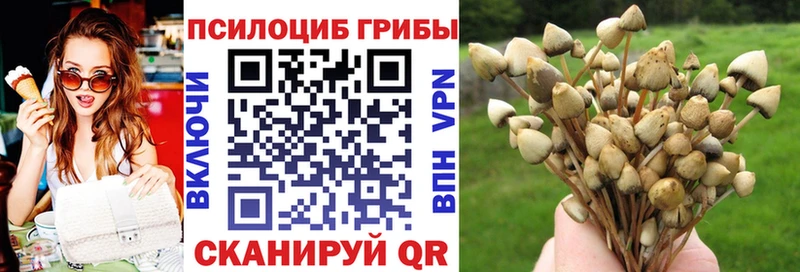 что такое Южно-Сахалинск Галлюциногенные грибы ЛСД